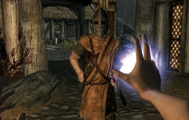 Fores New Idles in Skyrim SE - FNIS SE